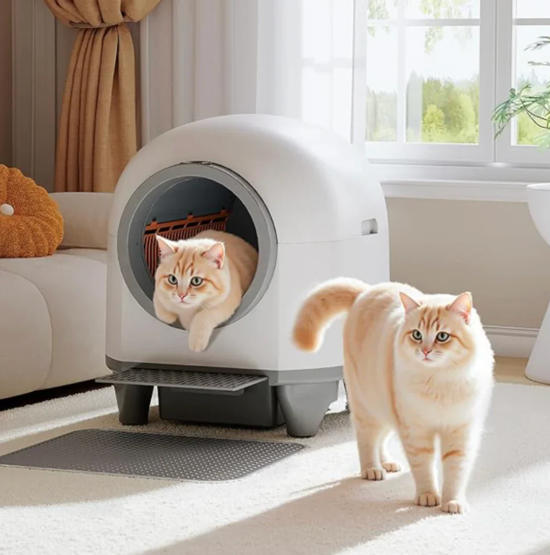 A Cleaner Home Starts  