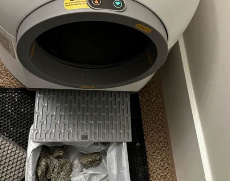 Review by Charlotte R